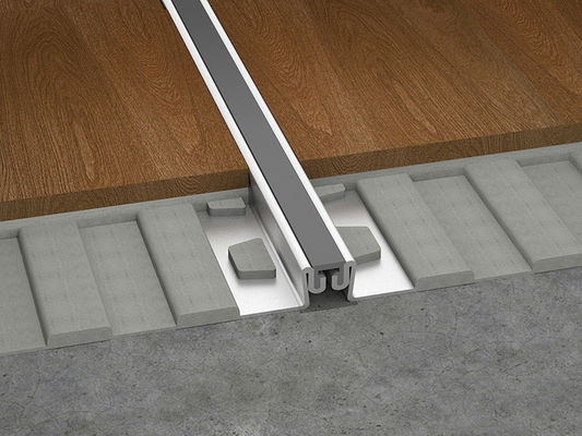 Elektroforese 20mm de Verbinding van de Roestvrij staalbeweging voor Stenen