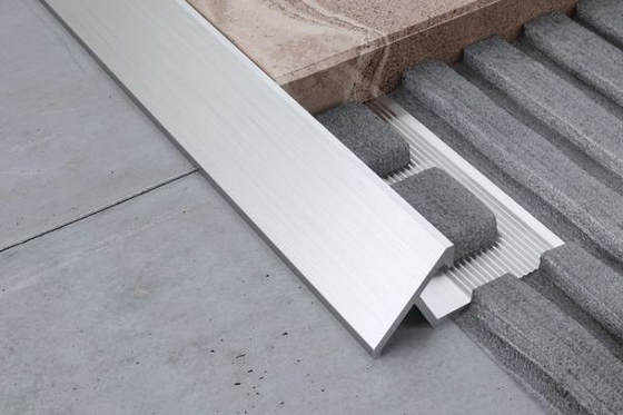 Van de de Tegelversiering van het hotelaluminium de Stroken van de de Vloerovergang