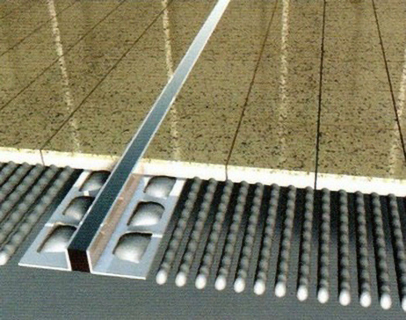 Chemische de Bewegingsverbinding 25mm van het Weerstandsroestvrije staal